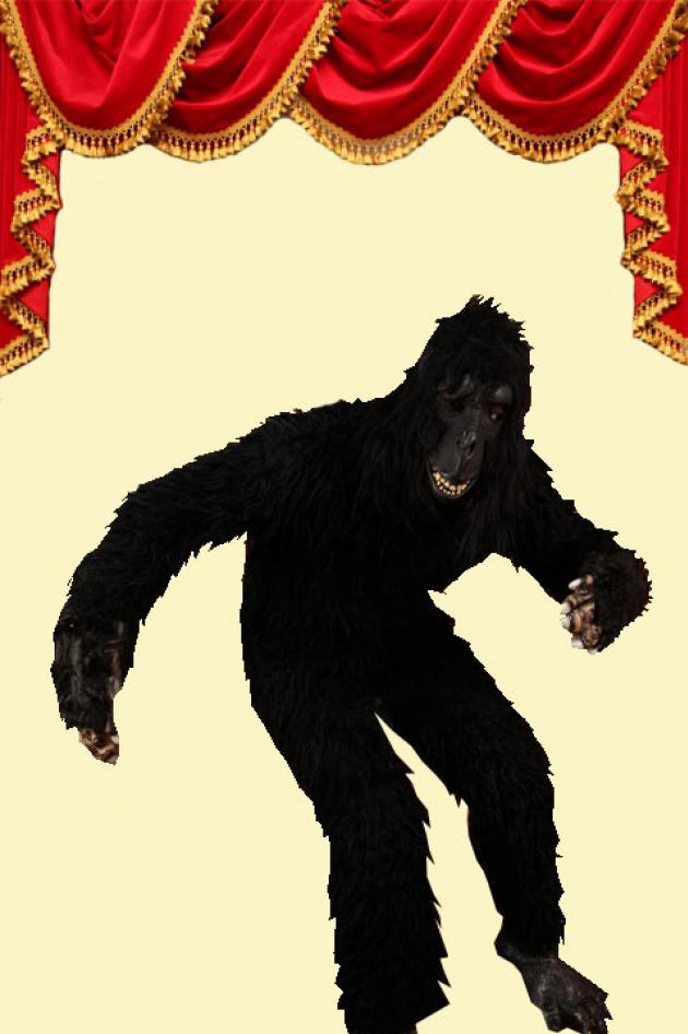 magie schreeuw Miljard Gorilla Kostuum | Kostuum & Karamel